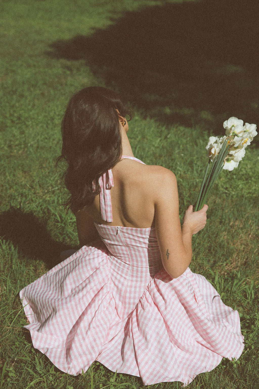 Charlie Gingham Halter V-Neck Mini Sun Dress Charlie Gingham Halter V-Neck Mini Sun Dress